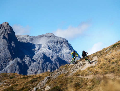 POWERED BY TREK BIKES - 