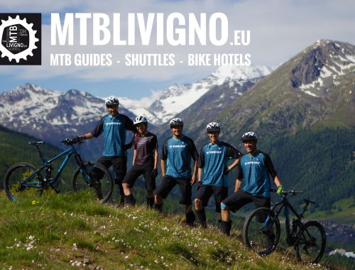 POWERED BY TREK BIKES - 