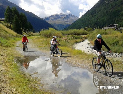 LARIX TRAIL