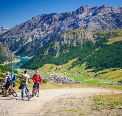 Privater Fahrradlehrer halb Tag